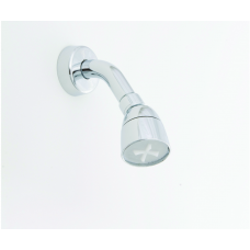 CHROME NON-METALLIC ARM & FLANGE W/FIXED SHOWER HEAD